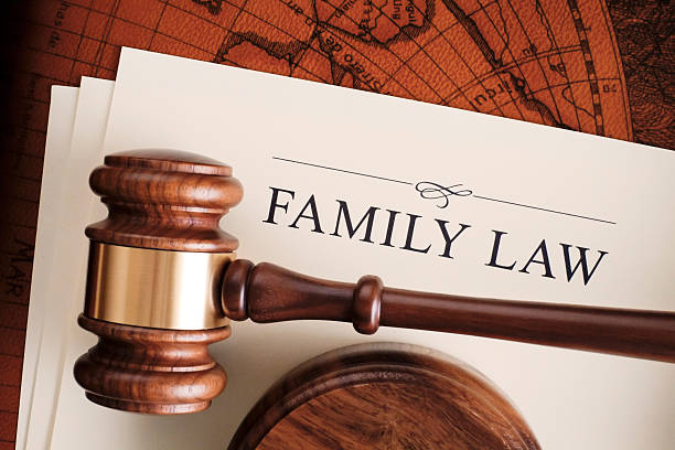Navigating the Intricacies of Family Law: Protecting the Ties That Bind Lawyered